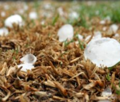 hail damage repair benefits