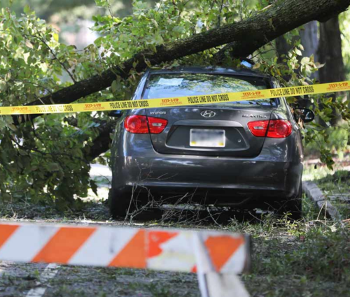 hail damage insurance claims